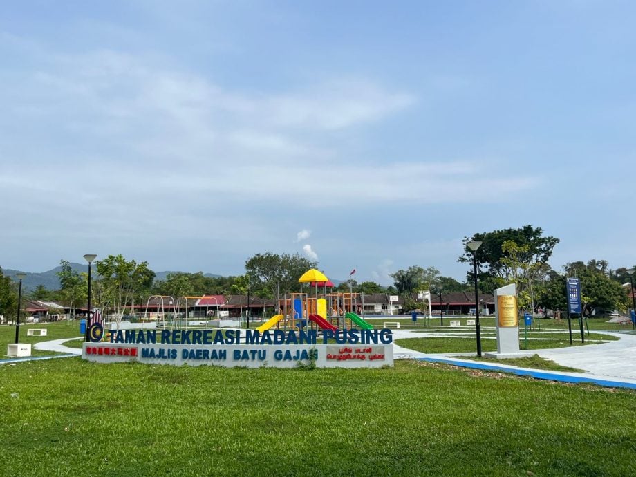 牛群游荡 布先昌明公园中招 留下粪便破坏农作物