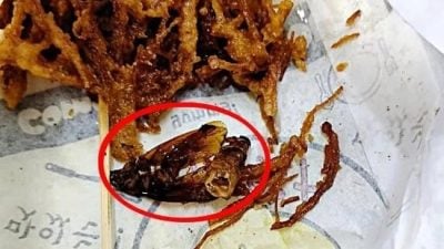 炸菇吃一半  惊见“炸蟑螂”