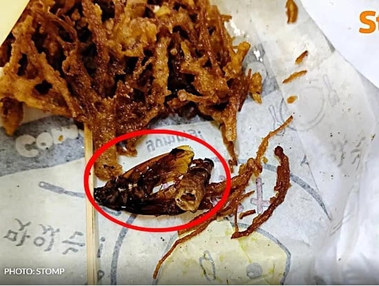 **狮城二三事**柔：炸菇吃一半  惊见“炸蟑螂” 