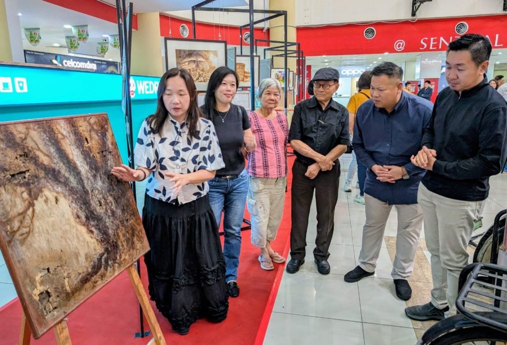 王星元:市议会有意将拉律山别墅 作为偏向研究的中心