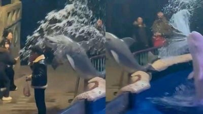 男子海洋馆执意抽烟 白鲸给他“浇个朋友”