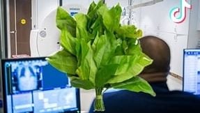 男子腹痛发烧紧急送医 竟是菜梗太硬刺破肠道