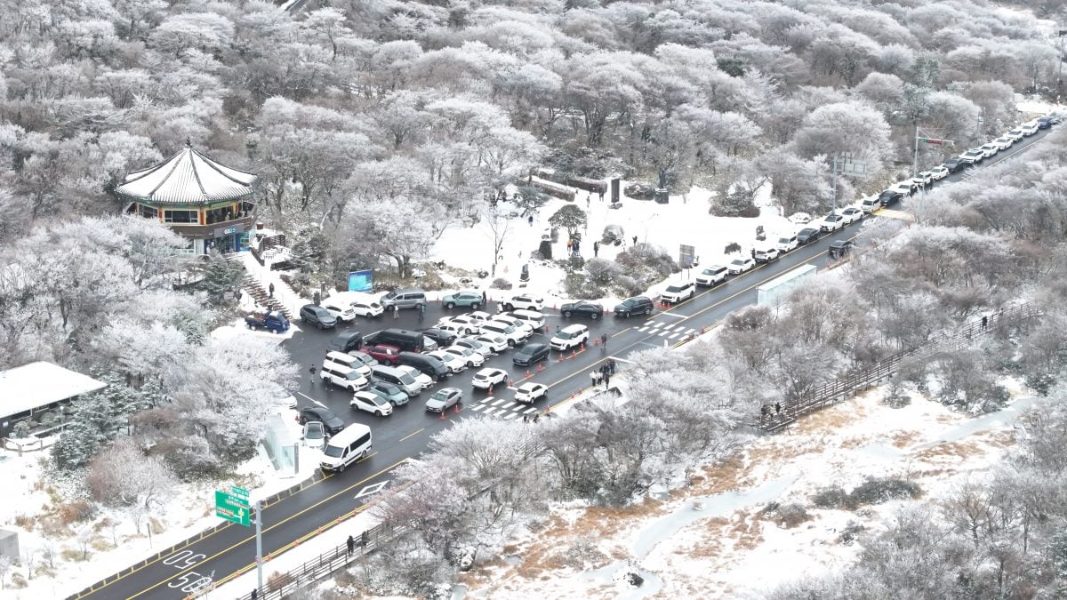 看世界)韩国首尔下初雪　连夜大雪致路面结冰连环车祸频传