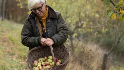 意农学家化身“水果侦探”   抢救古老水果品种