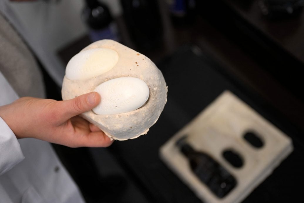 绿量无穷 | 比利时初创公司环保创新 蘑菇材料代替塑料包装