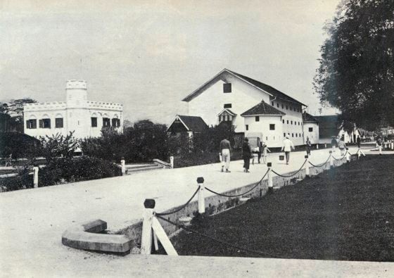 蔡羽/被遗忘的五点炮