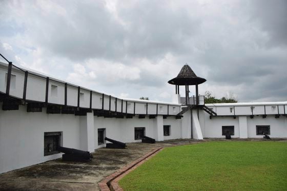 蔡羽/被遗忘的五点炮