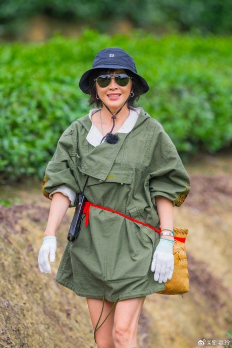 被刘嘉玲吐槽少女时期就想当妈 张柏芝认了:要生到不能生