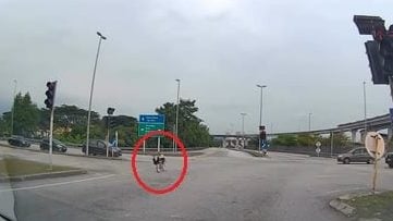 视频 | 结伴飙蚊型脚车冲红灯 1男童险被撞飞