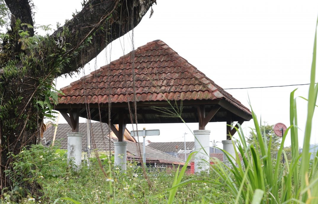 请签发-大都会//增江河滨休闲公园荒废多年,杂草丛生无人维护/5图