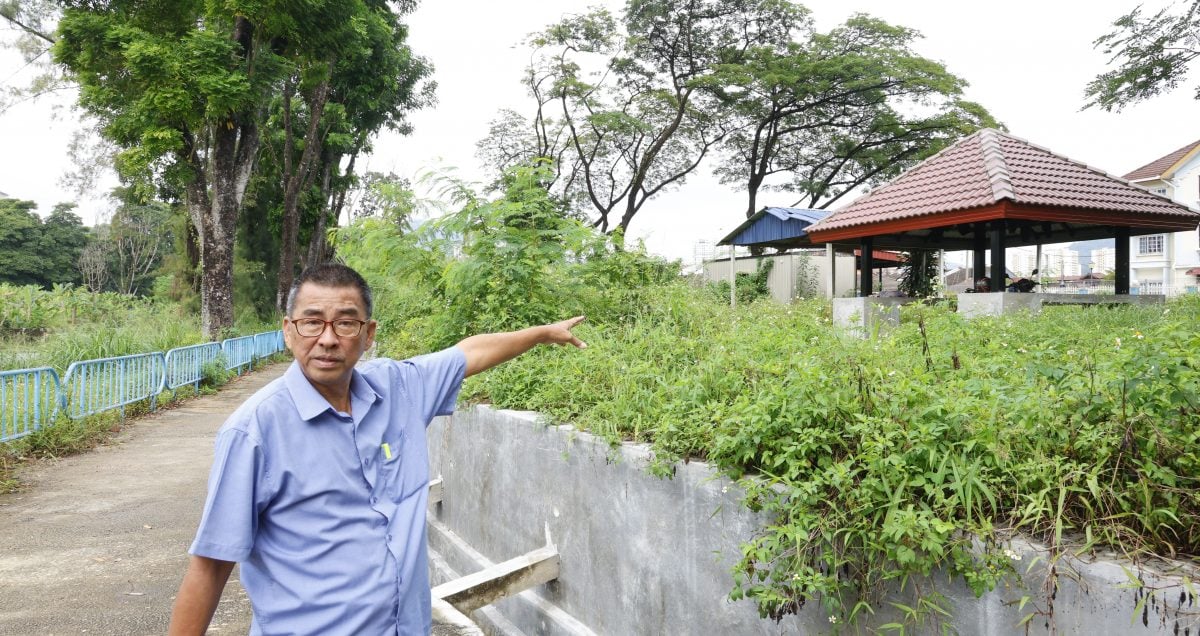 请签发-大都会//增江河滨休闲公园荒废多年,杂草丛生无人维护/5图