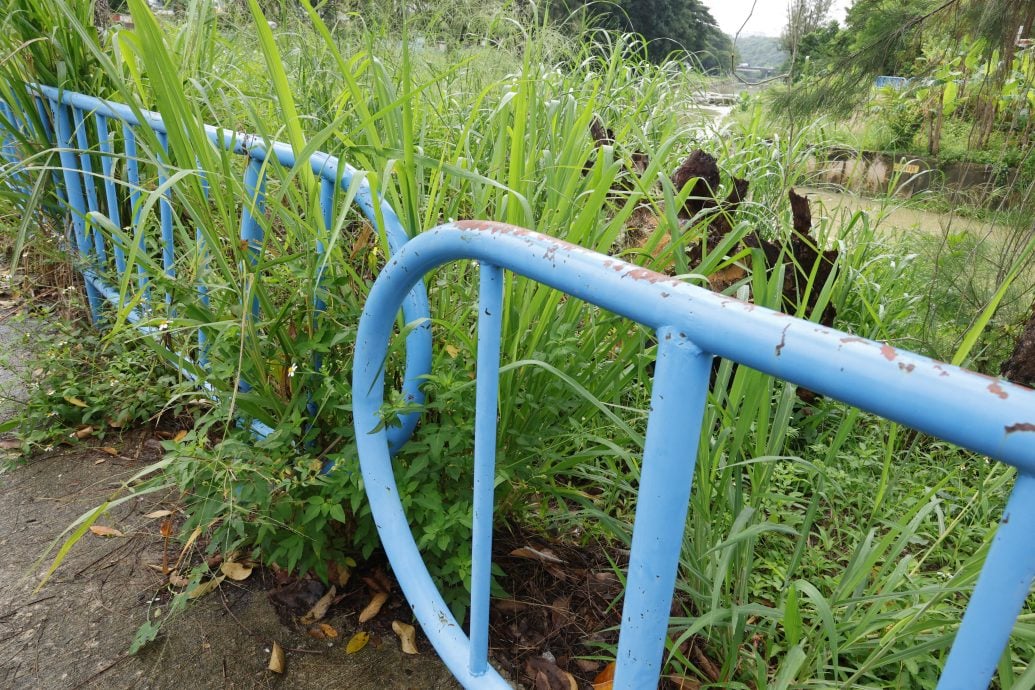 请签发-大都会//增江河滨休闲公园荒废多年,杂草丛生无人维护/5图