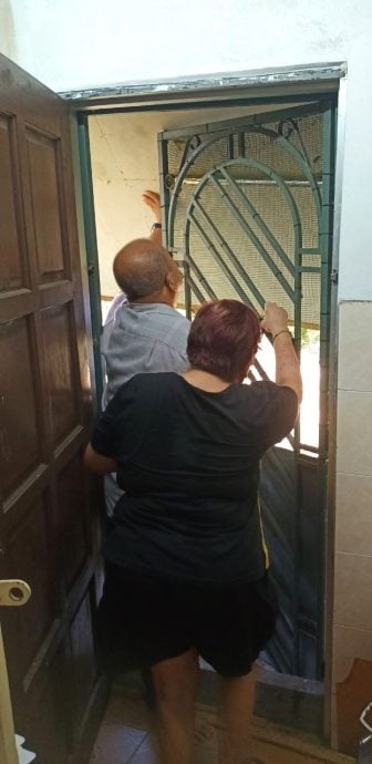 请签发上网-ME02主文-大都会/大树枝干砸破屋后,乐龄屋主苦求助砍树