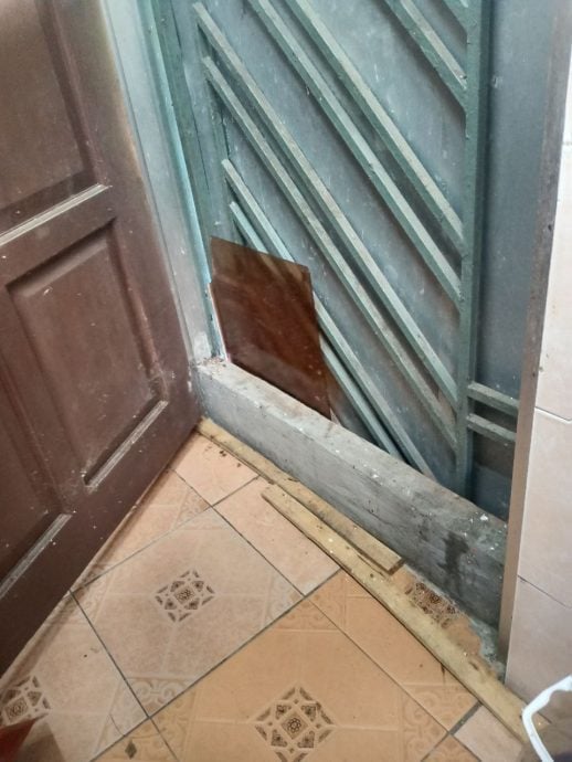 请签发上网-ME02主文-大都会/大树枝干砸破屋后,乐龄屋主苦求助砍树