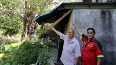 大树粗干砸屋顶，惊！ “再不快砍 树倒毁我家” 