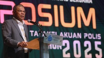 赛夫丁：打击不道德活动 将重审查数法律条款