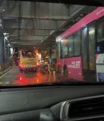 轻快铁站遭陌生男强拉车门 女子吓坏:猛鸣笛都不走