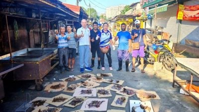 增江北区巴刹   赏金捕鼠 反应不太好