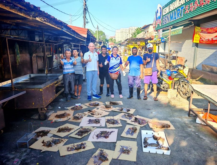 边头//大都会-林立迎/增江北区巴刹赏金捕鼠