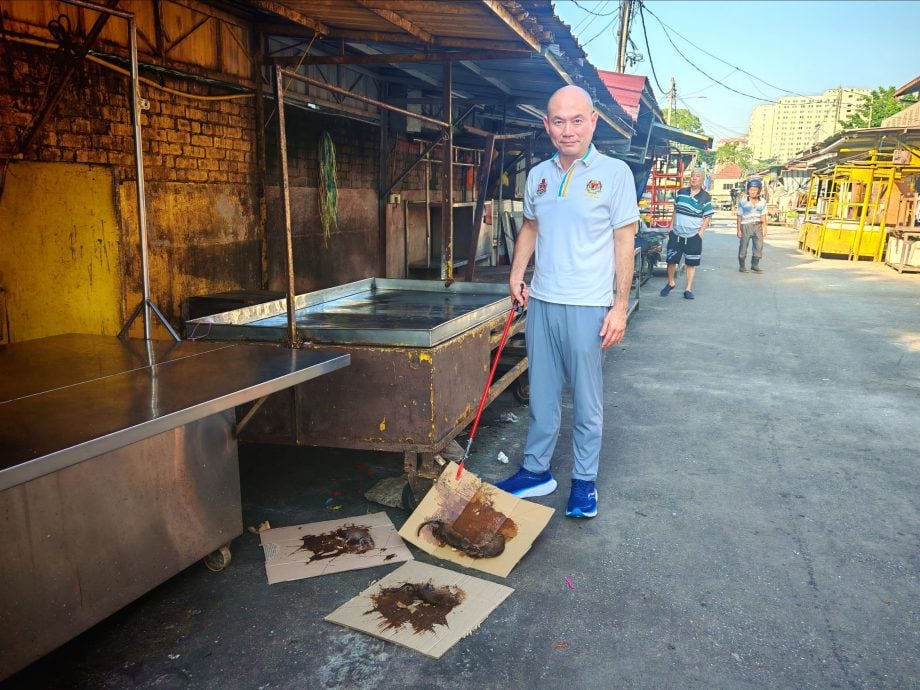 边头//大都会-林立迎/增江北区巴刹赏金捕鼠