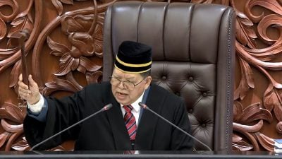 通过13项法案2动议 国会无限期休会