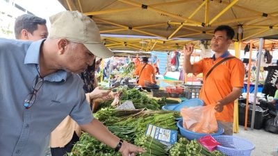 长命雨多处淹水影响收成 关丹蔬菜价格涨价55％