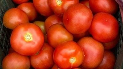 雨季致收成减　菜价“一飞冲天”