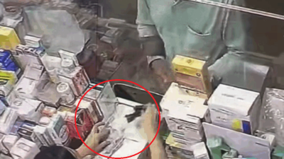 顾客买药不够钱付账 药剂师放上网羞辱遭停牌