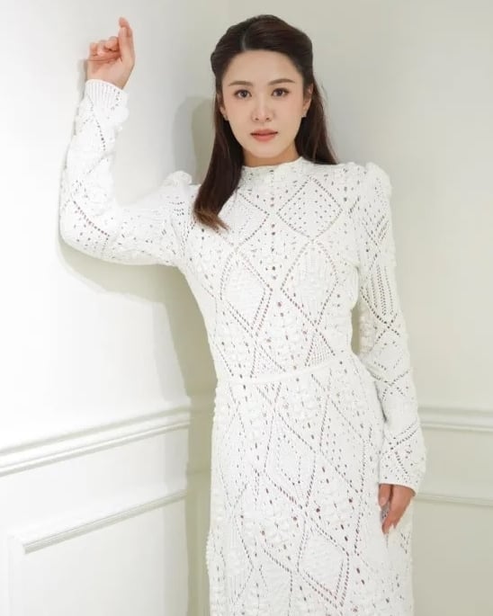 香港5级大火|遭冒名借火灾行骗 江嘉敏紧急发声明澄清