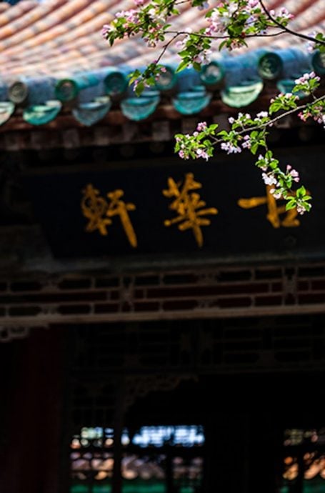 马克龙访华参观故宫乾隆花园