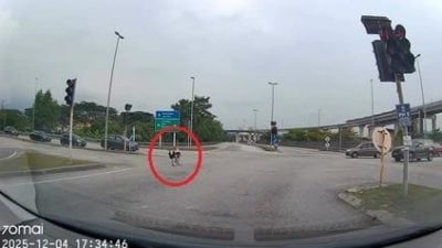 骑蚊型脚车闯红灯险酿祸 警捕两名少年调查