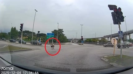 骑蚊型脚车闯红灯险酿祸 警捕两名少年调查 