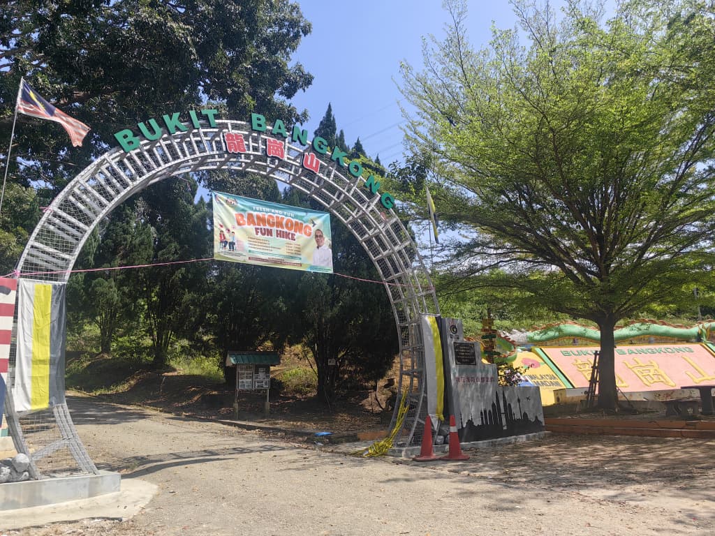 龙岗山现虎踪 野生动物局封山设陷阱捕虎