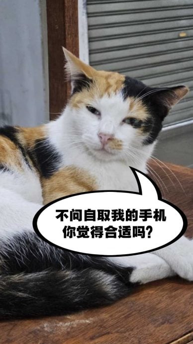 (12/12见报)亮话-黄国强·无糖社交//1图