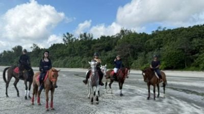 星角摄 | 海边体验“牛仔骑马”