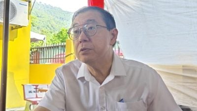 “宣布暂缓2年才实行也没意思”  林冠英：未商量就通过很反常