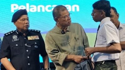 赛夫丁：掌握国语是首要原则  若是马来西亚人就需赞成