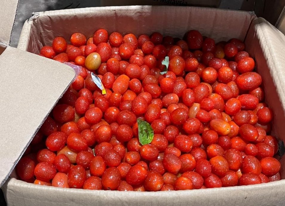 （古城封面主文）​蔬菜整体价格过去两周暴涨，涨幅介于50%至200%不等