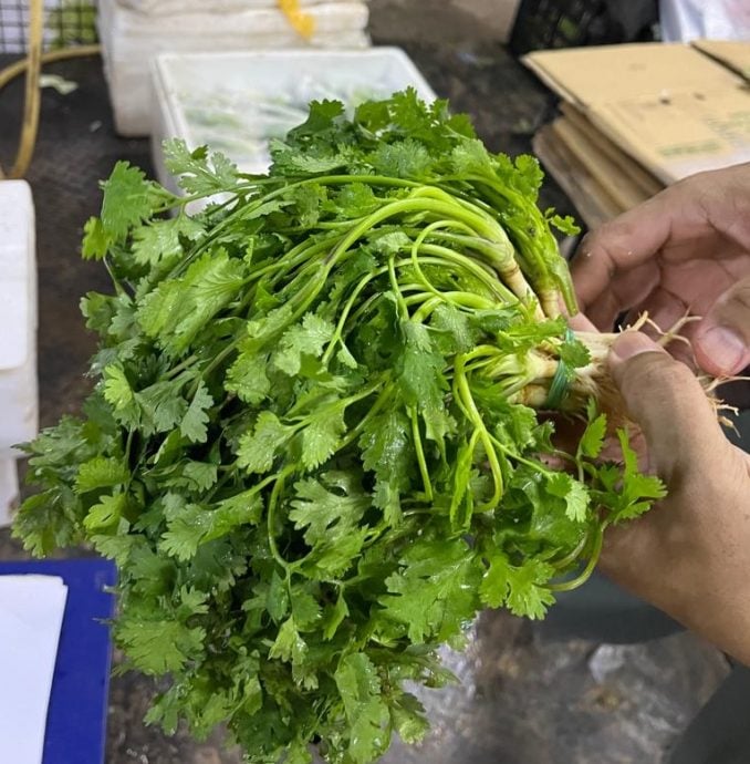 （古城封面主文）​蔬菜整体价格过去两周暴涨，涨幅介于50%至200%不等