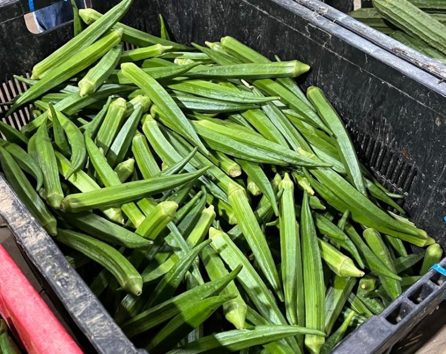 （古城封面主文）​蔬菜整体价格过去两周暴涨，涨幅介于50%至200%不等