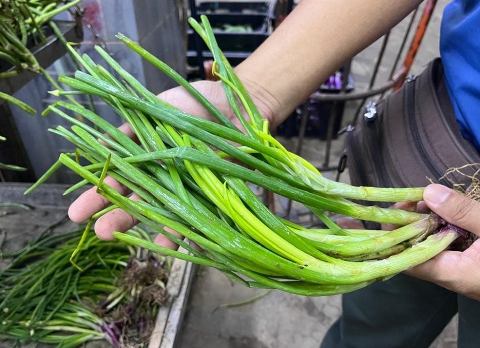 （古城封面主文）​蔬菜整体价格过去两周暴涨，涨幅介于50%至200%不等