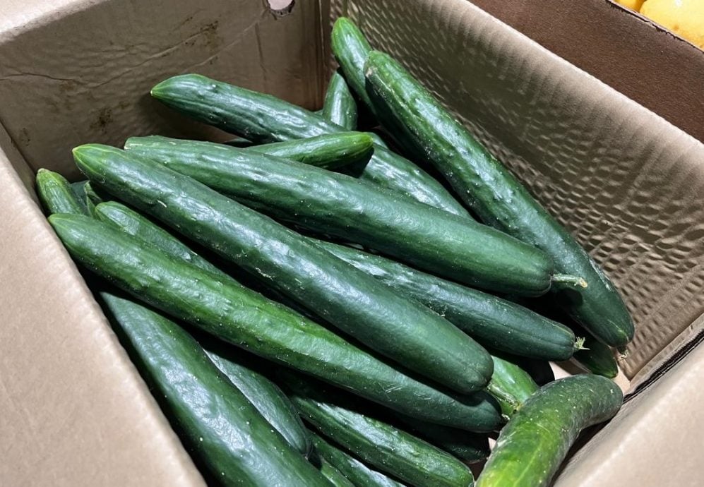 （古城封面主文）​蔬菜整体价格过去两周暴涨，涨幅介于50%至200%不等