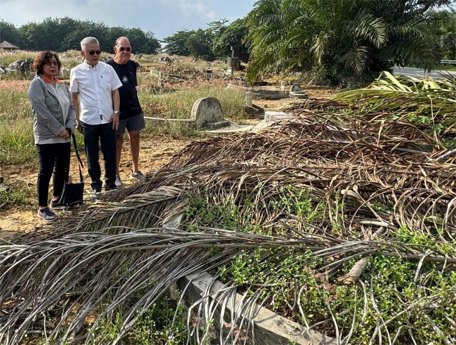 (古城版)海南义山