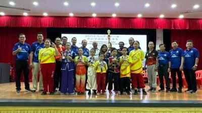 甲武状元武术赛成绩出炉   玛琳华小蝉联全场总冠军