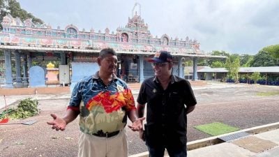 忧随时断裂 兴都庙投诉  大树枝桠茂密 获修剪