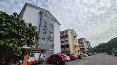 新屋业明年起强制种树  甲市厅代种每棵收250令吉