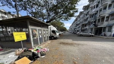 晋巷丽雅公寓猴患垃圾问题恶化   装电眼加强监控