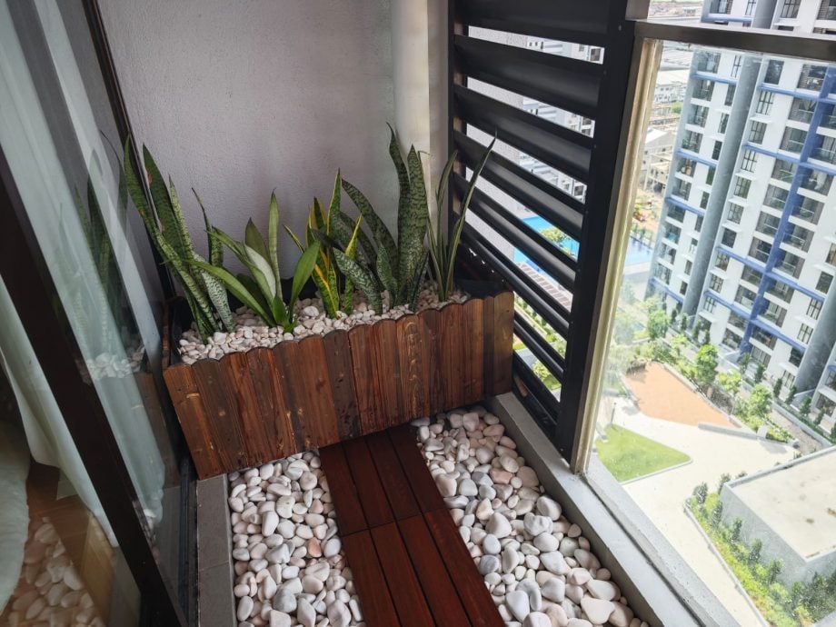 （古城第四版主文）水泥森林里，绿意依然有容身之处