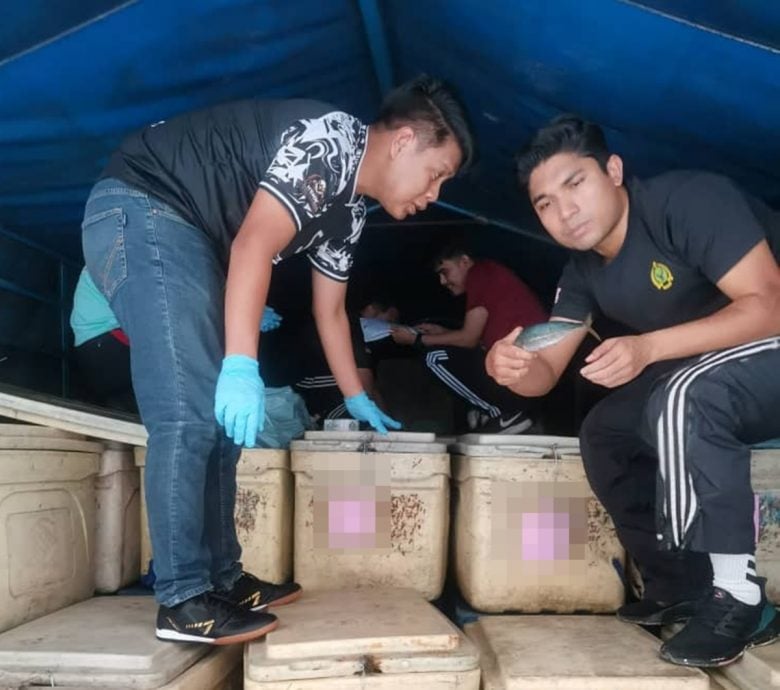 (大上马)充公海鲜和蔬菜