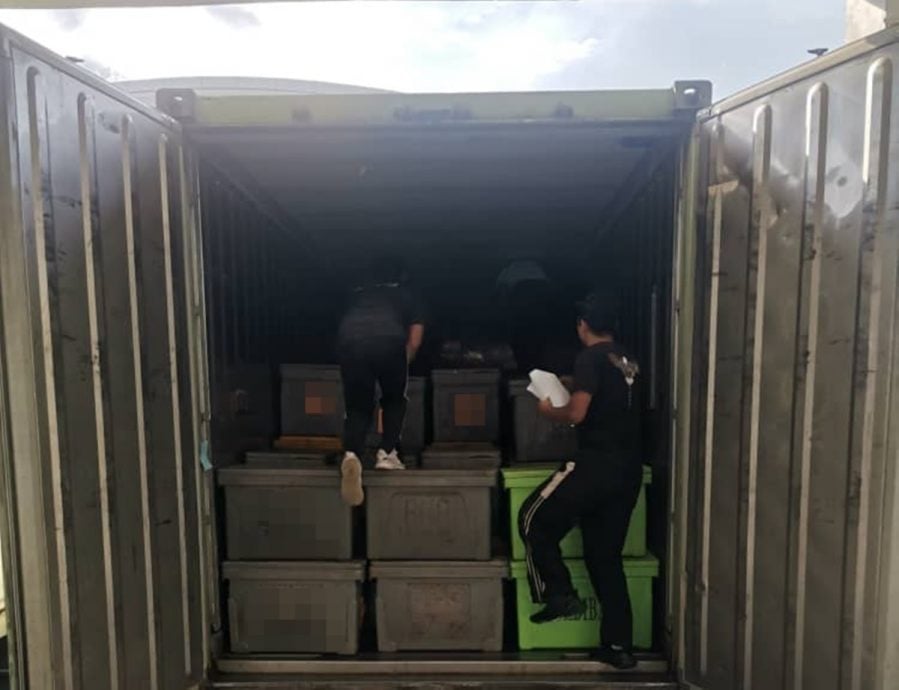 (大上马)充公海鲜和蔬菜